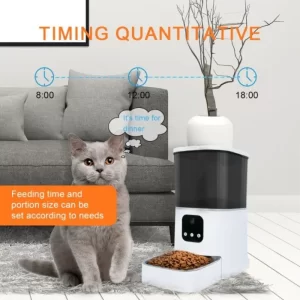 tempat makan kucing otomatis dilengkapi dengan kamera untuk memantau dari jauh